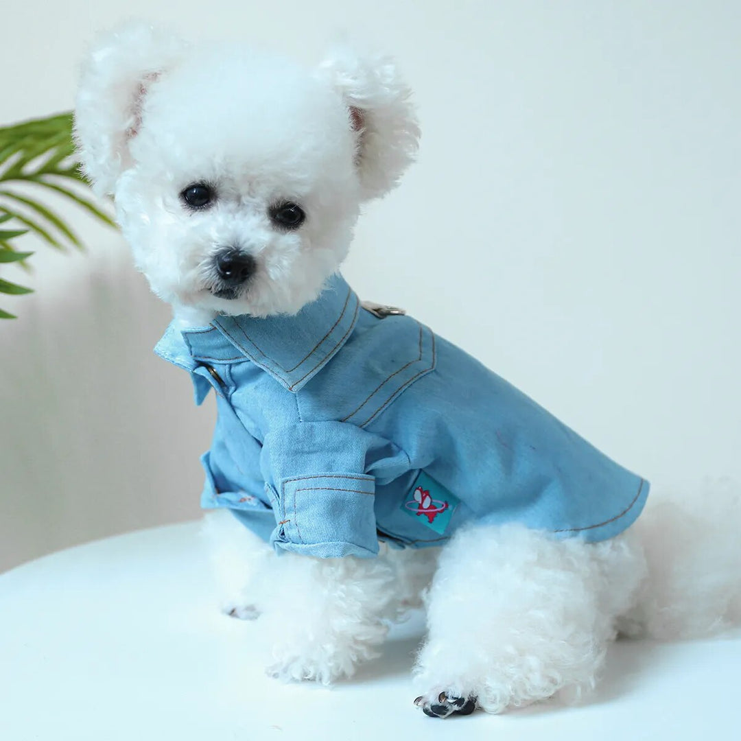 Denim Dog Shirt (Small Medium Dogs)