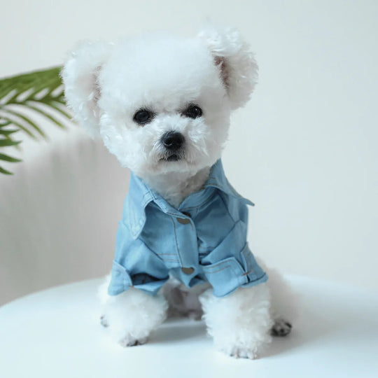 Denim Dog Shirt (Small Medium Dogs)